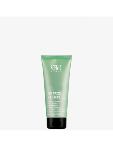 SCENIC NO FRIZZ SYSTEM CONDIZ. CAP....