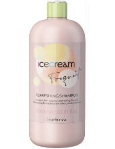 INEBRYA CONDITIONER BE CARE USO FREQUENTE 1000ML