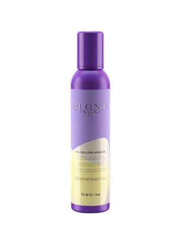 INEBRYA MASCHERA BLONDESSE NO-YELLOW 1000ML