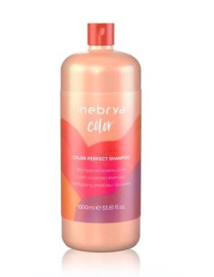 INEBRYA SHAMPOO COLOR PERFECT LOCKER 300ML