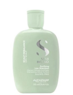 ALFAPARF SEMI DI LINO SHAMPOO DELICATO PURIFICANTE 250ML
